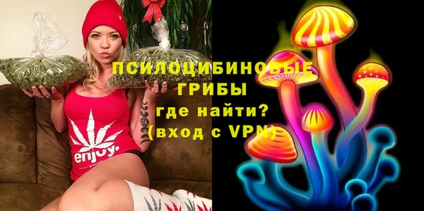 тгк Костерёво