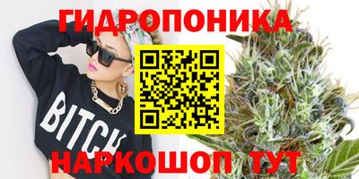 PSILOCYBIN Кулебаки