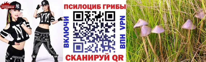 Галлюциногенные грибы ЛСД  Еманжелинск 
