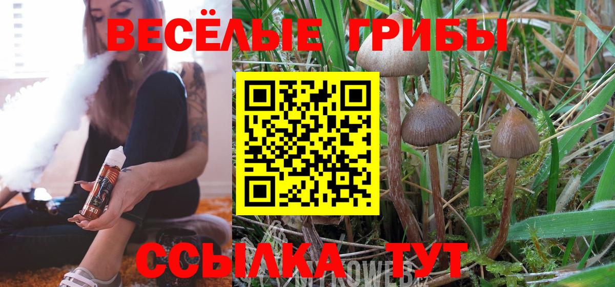 Псилоцибиновые грибы Magic Shrooms  Вход с VPN  Еманжелинск 
