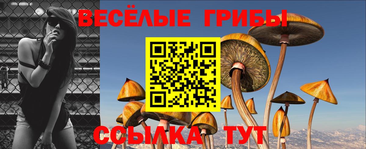 A-PVP Еманжелинск